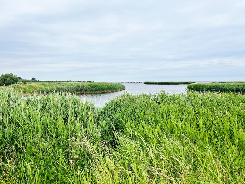 24-06-21 11-32-56 9746.jpeg